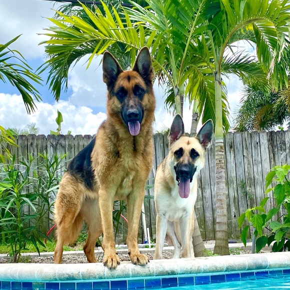 Meet your Posher, Gabriela - Picture 1 of 1